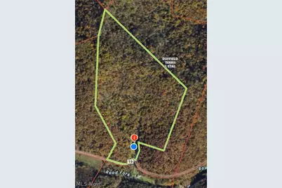 3593 Moore Fork Rd., Duck, WV 25063 - Photo 46