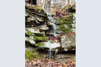 3593 Moore Fork Rd., Duck, WV 25063 - Photo 24