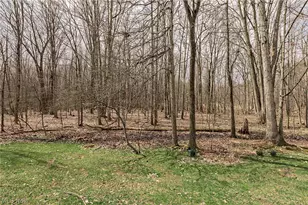 3436 Teal Ct, Aurora, OH 44202 - Photo 44