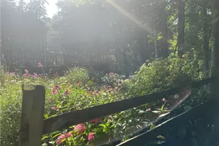 1022 Big Bass Rd, Willard, OH 44890 - Photo 36