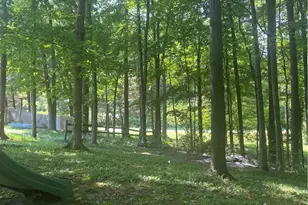 1022 Big Bass Rd, Willard, OH 44890 - Photo 38