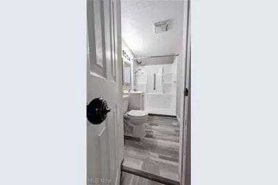 297 Depot Street, Conneaut, OH 44030 - Photo 8