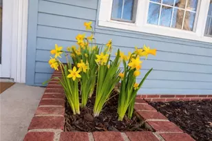 1627 Bayberry Ln, Coshocton, OH 43812 - Photo 4