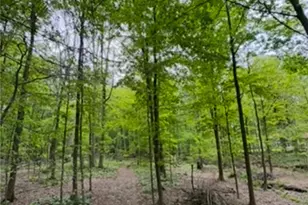 12684 Taylor Wells Rd, Chardon, OH 44024 - Photo 26