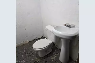 12718 Holborn Avenue, Loveland, OH 44105 - Photo 6