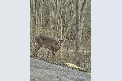 243 Rinker Road, Steubenville, OH 43952 - Photo 14