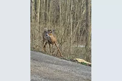 243 Rinker Road, Steubenville, OH 43952 - Photo 16