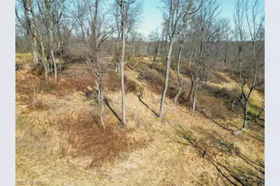 Pleasant Hill Drive, Fresno, OH 43824 - Photo 24