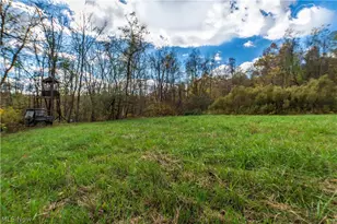 59501 Nevada Rd, Quaker City, OH 43773 - Photo 42