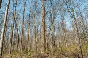 31370 Cadiz-Dennison Rd, Uhrichsville, OH 44683 - Photo 44