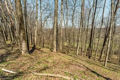 31370 Cadiz Dennison Road, Uhrichsville, OH 44683 - Photo 42