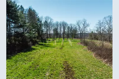31370 Cadiz Dennison Road, Uhrichsville, OH 44683 - Photo 6
