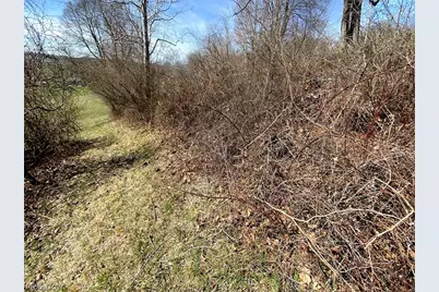 0 Township Rd 408, Warsaw, OH 43844 - Photo 4