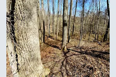 0 Township Rd 408, Warsaw, OH 43844 - Photo 8