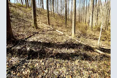 0 Township Rd 408, Warsaw, OH 43844 - Photo 10