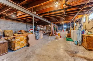 5329 Slater Rd, Williamsfield, OH 44093 - Photo 46