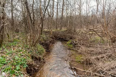 18579 Hobbler Lane, Lore City, OH 43755 - Photo 24