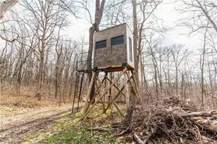 18579 Hobbler Ln, Lore City, OH 43755 - Photo 48