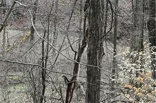 44800 Jim Stimpert Rd, Lewisville, OH 43754 - Photo 24