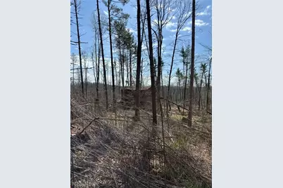 44800 Jim Stimpert Road, Lewisville, OH 43754 - Photo 42