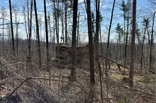 44800 Jim Stimpert Rd, Lewisville, OH 43754 - Photo 42