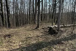 44800 Jim Stimpert Rd, Lewisville, OH 43754 - Photo 34