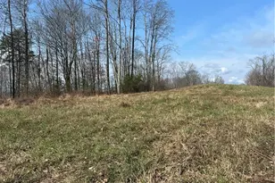 44800 Jim Stimpert Rd, Lewisville, OH 43754 - Photo 32