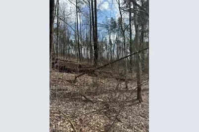 44800 Jim Stimpert Road, Lewisville, OH 43754 - Photo 40