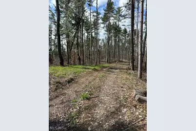 44800 Jim Stimpert Road, Lewisville, OH 43754 - Photo 44