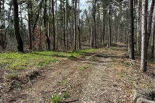 44800 Jim Stimpert Rd, Lewisville, OH 43754 - Photo 44