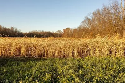 Lambert, Roseville, OH 43777 - Photo 6