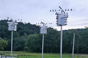 343 County Road 343, Warsaw, OH 43844 - Photo 6