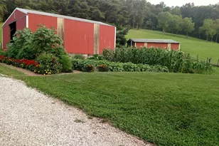 343 County Road 343, Warsaw, OH 43844 - Photo 8