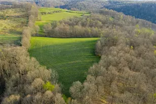 343 County Road 343, Warsaw, OH 43844 - Photo 34