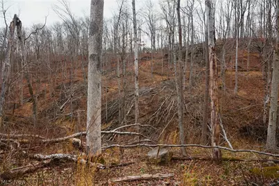 Brimstone Road, Coolville, OH 45723 - Photo 24