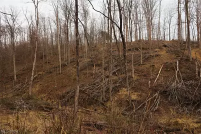 Brimstone Road, Coolville, OH 45723 - Photo 20