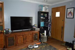 6210 Heisley Ave, Loveland, OH 44105 - Photo 22