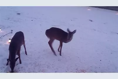 10294 Township Road 57 NE, Roseville, OH 43777 - Photo 1