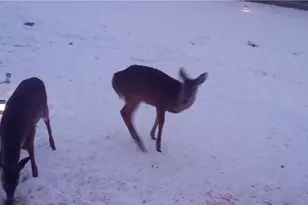 10294 Township Rd 57 NE, Roseville, OH 43777 - Photo 1