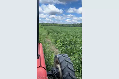 Flagdale, Junction City, OH 43748 - Photo 22