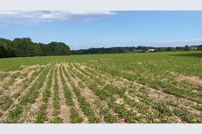 Flagdale, Junction City, OH 43748 - Photo 6