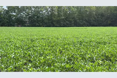 Flagdale, Junction City, OH 43748 - Photo 2