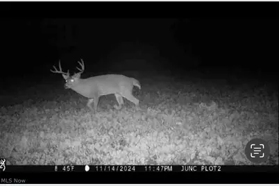 Flagdale, Junction City, OH 43748 - Photo 10