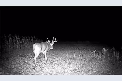 Flagdale, Junction City, OH 43748 - Photo 20