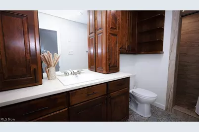 13177 Beaver Springfield Road, New Springfield, OH 44443 - Photo 30