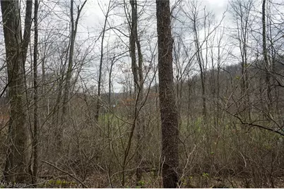 McKee Hill Rd, Frazeysburg, OH 43822 - Photo 10