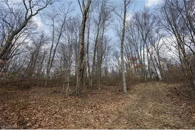 McKee Hill Rd, Frazeysburg, OH 43822 - Photo 44