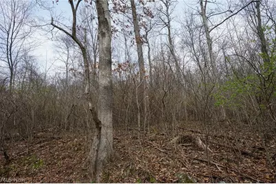 McKee Hill Rd, Frazeysburg, OH 43822 - Photo 12