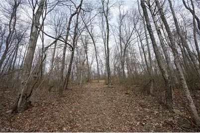 McKee Hill Rd, Frazeysburg, OH 43822 - Photo 16