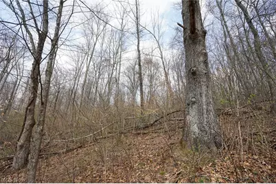 McKee Hill Rd, Frazeysburg, OH 43822 - Photo 42